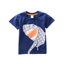 Load image into Gallery viewer, Baby Boys T- Shirts
